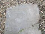 image of grave number 570734
